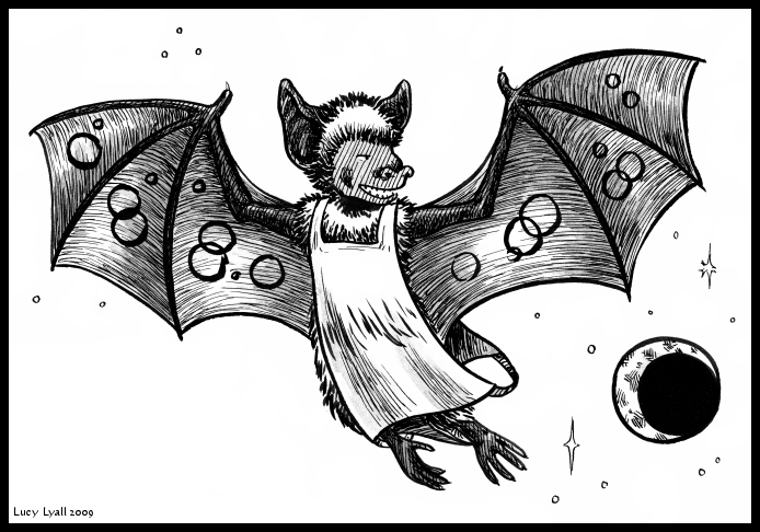 Mr. Rondin flying