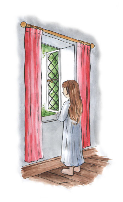 Window